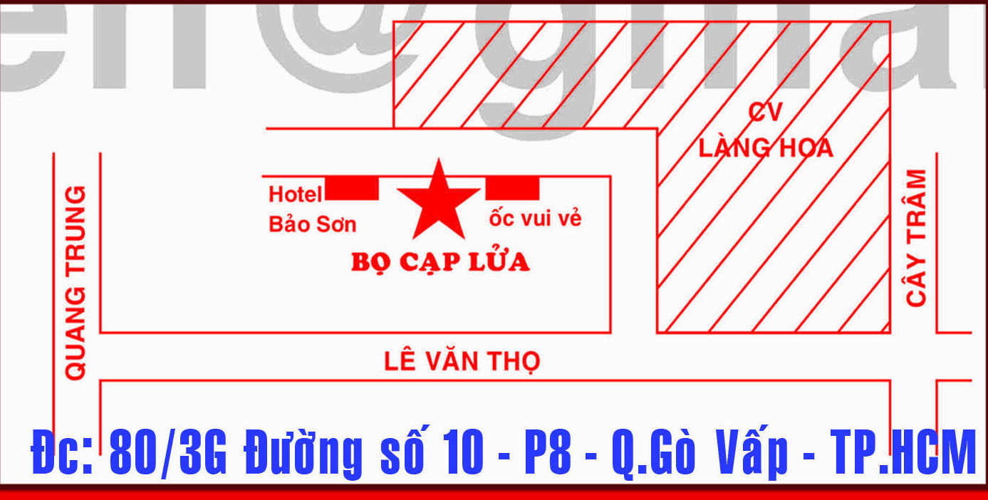 Quán Nhậu Đặc Sản Côn Trùng HCM: 28k/Món - 15